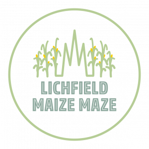 Spooky Maize Maze & Pumpkins | Lichfield - image 5