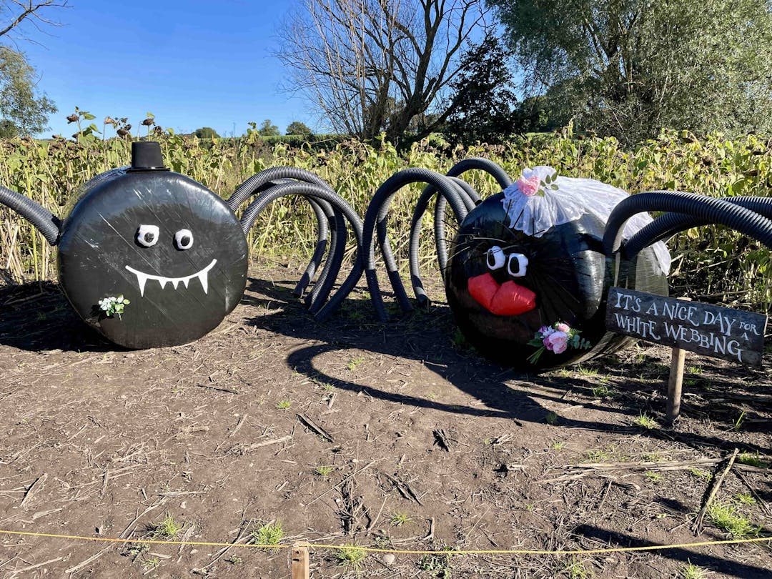 Spooky Maize Maze & Pumpkins | Lichfield - image 4