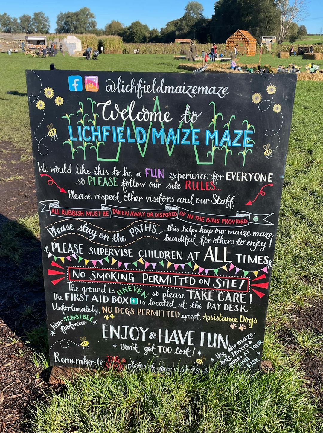 Spooky Maize Maze & Pumpkins | Lichfield - image 5