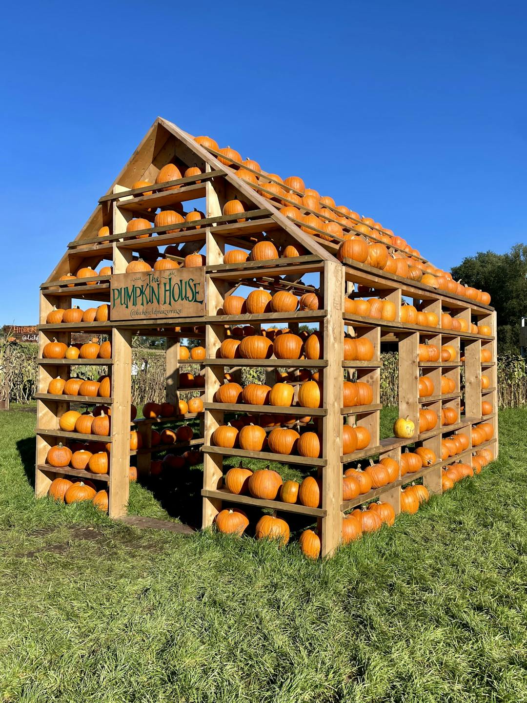 Spooky Maize Maze & Pumpkins | Lichfield - image 7