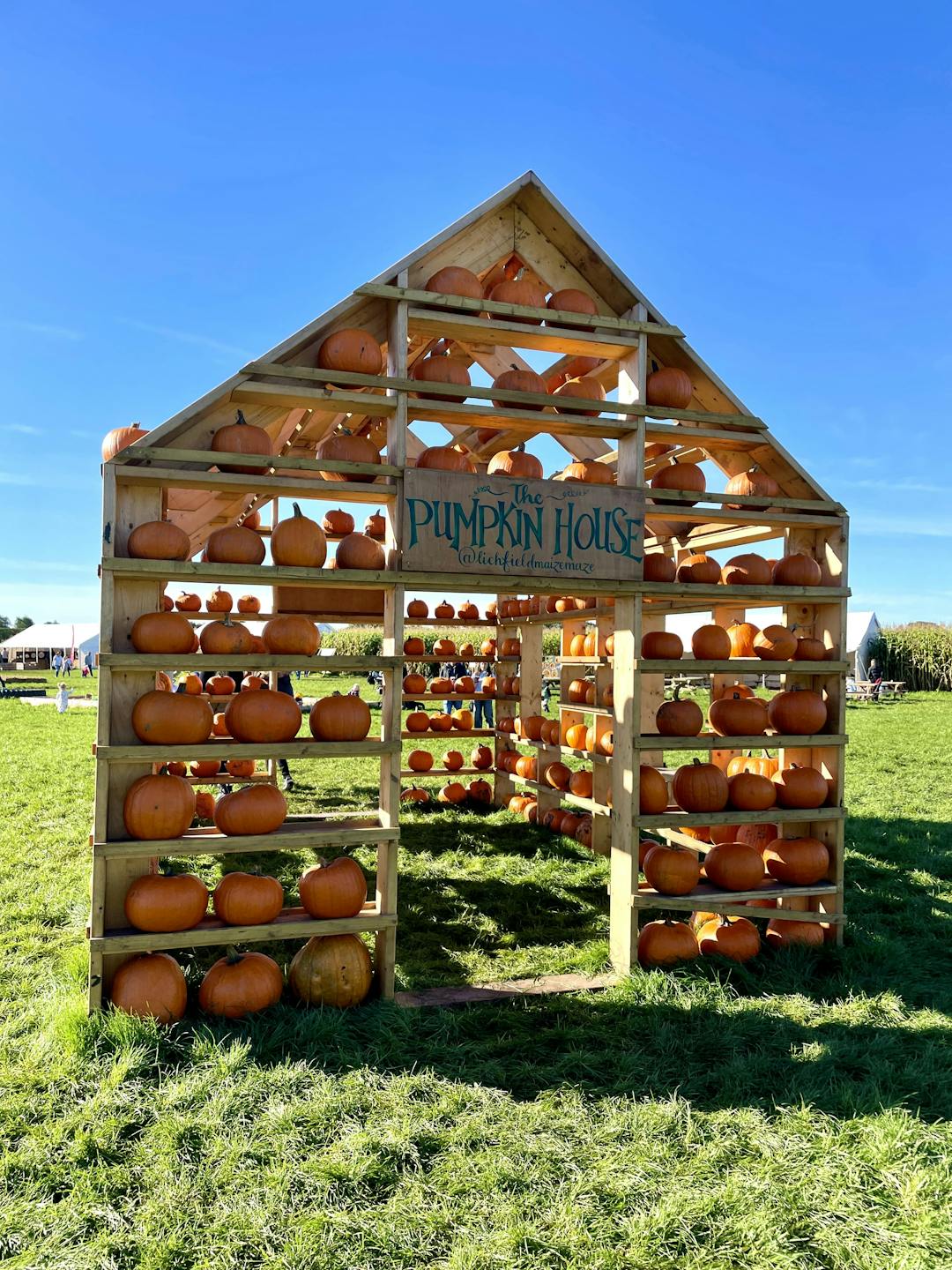 Spooky Maize Maze & Pumpkins | Lichfield - image 7