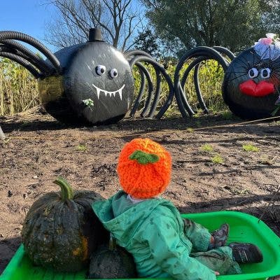 Spooky Maize Maze & Pumpkins | Lichfield - image 1