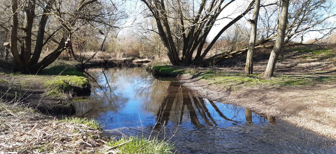 Babbs Mill Lake | Solihull - image 2